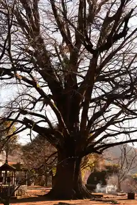 大山寺(徳島県)