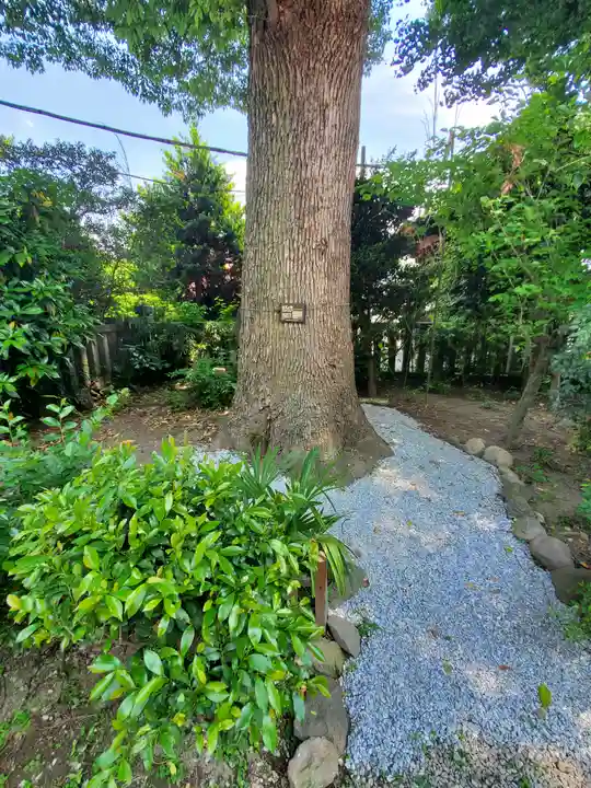 金鑚神社の自然