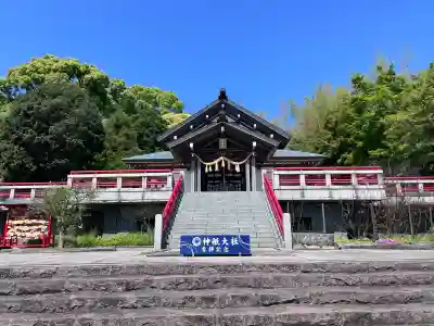 神祇大社の{uncategorized: "未分類", other: "その他", undefined: "問題あり", building: "その他建物", grave: "お墓", sacred_gate: "鳥居", guardian: "狛犬", statue: "像", buddha: "仏像", history: "歴史", nature: "自然", garden: "庭園", animal: "動物", pagoda: "塔", temizu: "手水舎", mountain_gate: "山門・神門", sanctuary: "本殿・本堂", subordinate: "末社・摂社", art: "芸術", scenery: "景色", jizo: "地蔵", ema: "絵馬", goshuin: "御朱印", omikuji: "おみくじ", items: "授与品その他", amulet: "お守り", goshuincho: "御朱印帳", eats: "食事", festival: "お祭り", votive_dance: "神楽", shichigosan: "七五三参", wedding: "結婚式", experience: "体験その他", initially: "初詣", around: "周辺", anti_infection: "感染症対策"}