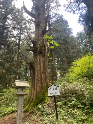 葛木神社(奈良県)