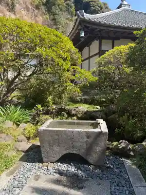 安養院　(田代寺）の{uncategorized: "未分類", other: "その他", undefined: "問題あり", building: "その他建物", grave: "お墓", sacred_gate: "鳥居", guardian: "狛犬", statue: "像", buddha: "仏像", history: "歴史", nature: "自然", garden: "庭園", animal: "動物", pagoda: "塔", temizu: "手水舎", mountain_gate: "山門・神門", sanctuary: "本殿・本堂", subordinate: "末社・摂社", art: "芸術", scenery: "景色", jizo: "地蔵", ema: "絵馬", goshuin: "御朱印", omikuji: "おみくじ", items: "授与品その他", amulet: "お守り", goshuincho: "御朱印帳", eats: "食事", festival: "お祭り", votive_dance: "神楽", shichigosan: "七五三参", wedding: "結婚式", experience: "体験その他", initially: "初詣", around: "周辺", anti_infection: "感染症対策"}
