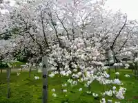 光善寺(北海道)