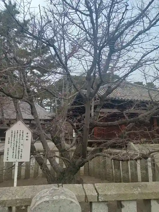 鶴林寺(兵庫県)