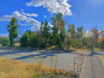 八幡社（祖父江町祖父江）の自然