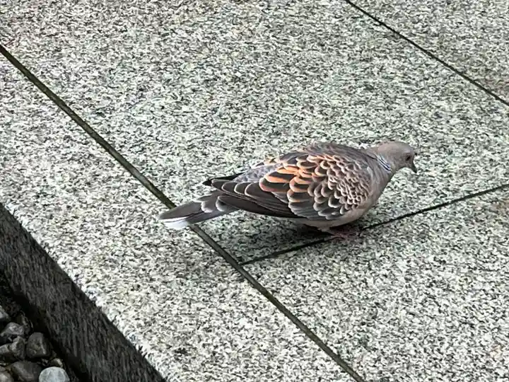 持寳院(多気山不動尊)(栃木県)