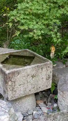 勝林寺(京都府)