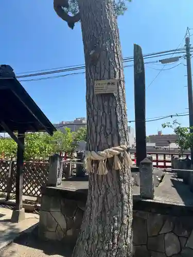 増田神社(宮城県)