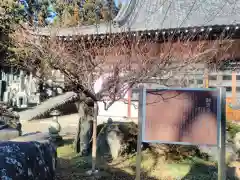 洞雲寺の本殿