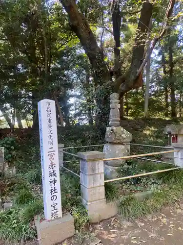 二宮赤城神社(群馬県)