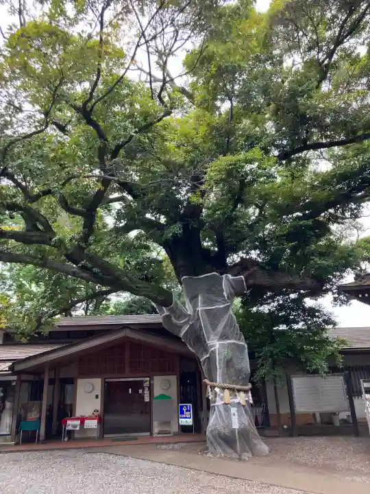 座間神社(神奈川県)