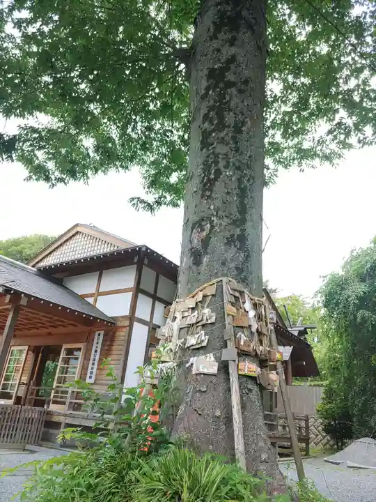 八雲神社(緑町)(栃木県)