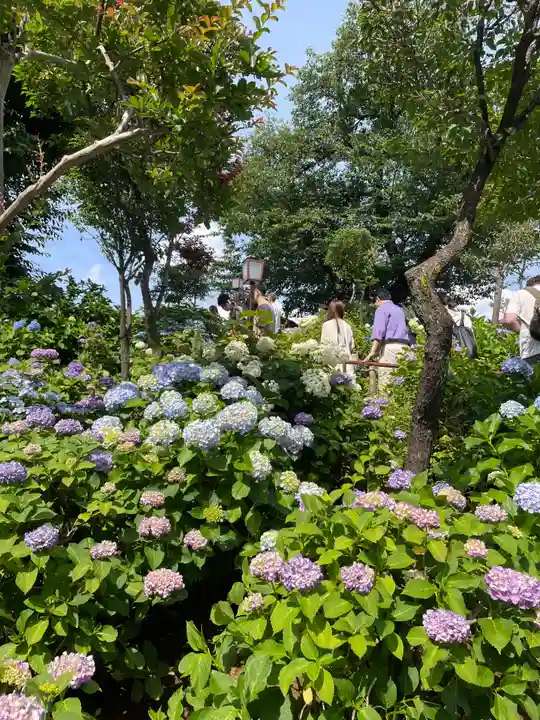 白山神社(東京都)