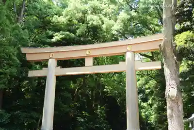 明治神宮(東京都)