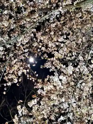 如宝寺(福島県)