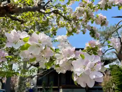 蓮華寺(福島県)