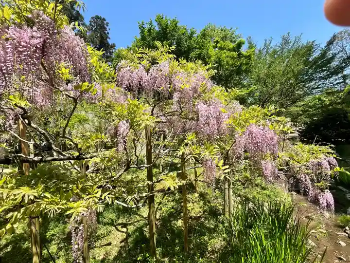 歌泉堂(春日大社神苑萬葉植物園内鎮座)(奈良県)