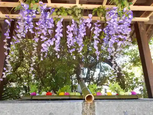 四倉諏訪神社(福島県)