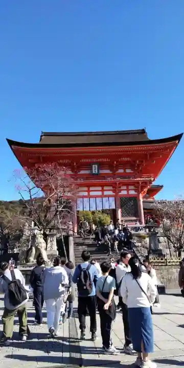 清水寺(京都府)