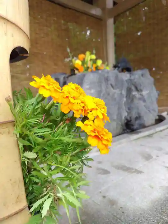 厚別神社(北海道)