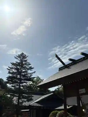 櫻木神社(千葉県)