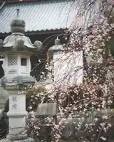 大聖寺(土浦大師不動尊)(茨城県)