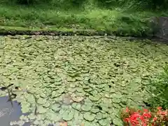 常行院の建物その他