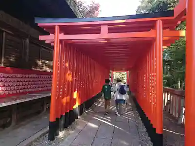 三光稲荷神社の鳥居