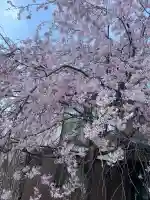 猿田彦神社の{uncategorized: "未分類", other: "その他", undefined: "問題あり", building: "その他建物", grave: "お墓", sacred_gate: "鳥居", guardian: "狛犬", statue: "像", buddha: "仏像", history: "歴史", nature: "自然", garden: "庭園", animal: "動物", pagoda: "塔", temizu: "手水舎", mountain_gate: "山門・神門", sanctuary: "本殿・本堂", subordinate: "末社・摂社", art: "芸術", scenery: "景色", jizo: "地蔵", ema: "絵馬", goshuin: "御朱印", omikuji: "おみくじ", items: "授与品その他", amulet: "お守り", goshuincho: "御朱印帳", eats: "食事", festival: "お祭り", votive_dance: "神楽", shichigosan: "七五三参", wedding: "結婚式", experience: "体験その他", initially: "初詣", around: "周辺", anti_infection: "感染症対策"}