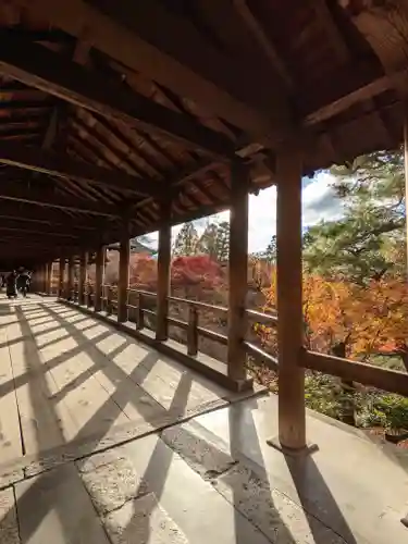 東福禅寺（東福寺）の本殿・本堂