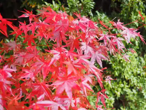 円成寺の{uncategorized: "未分類", other: "その他", undefined: "問題あり", building: "その他建物", grave: "お墓", sacred_gate: "鳥居", guardian: "狛犬", statue: "像", buddha: "仏像", history: "歴史", nature: "自然", garden: "庭園", animal: "動物", pagoda: "塔", temizu: "手水舎", mountain_gate: "山門・神門", sanctuary: "本殿・本堂", subordinate: "末社・摂社", art: "芸術", scenery: "景色", jizo: "地蔵", ema: "絵馬", goshuin: "御朱印", omikuji: "おみくじ", items: "授与品その他", amulet: "お守り", goshuincho: "御朱印帳", eats: "食事", festival: "お祭り", votive_dance: "神楽", shichigosan: "七五三参", wedding: "結婚式", experience: "体験その他", initially: "初詣", around: "周辺", anti_infection: "感染症対策"}