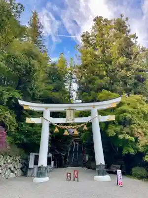 宝登山神社(埼玉県)