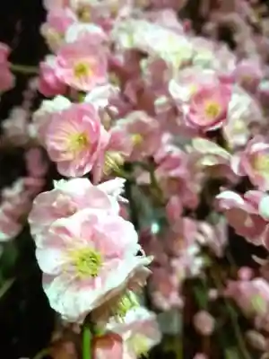 成願寺(東京都)