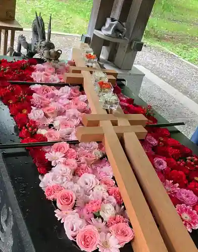 帯廣神社の手水