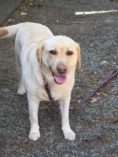 美濃輪稲荷神社(静岡県)