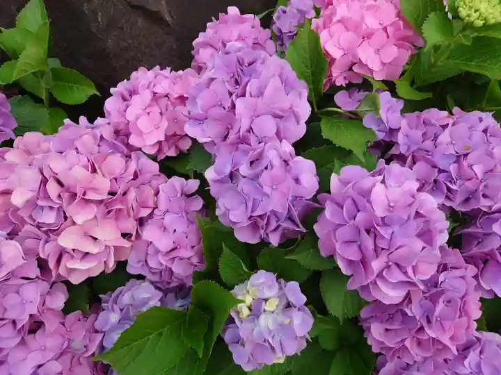 神明社(千葉県)