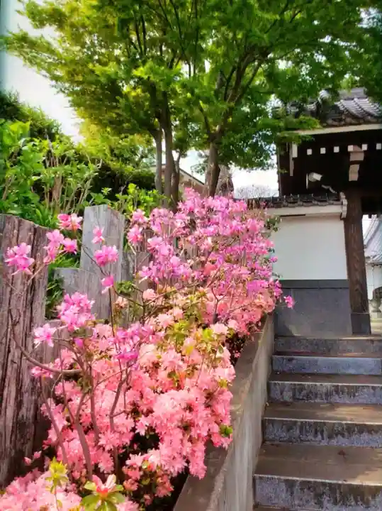 神足寺(東京都)