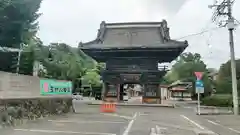 玉村八幡宮(群馬県)