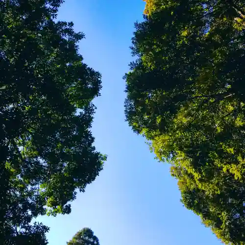 諏訪神社の自然