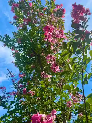 伊勢の国 四天王寺(三重県)
