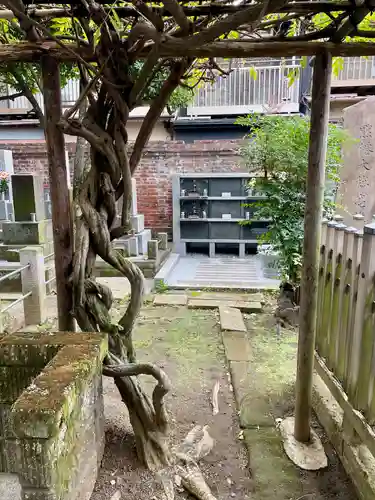 正徳寺(東京都)