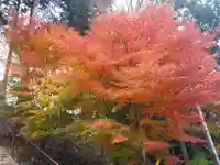 八雲神社(山梨県)