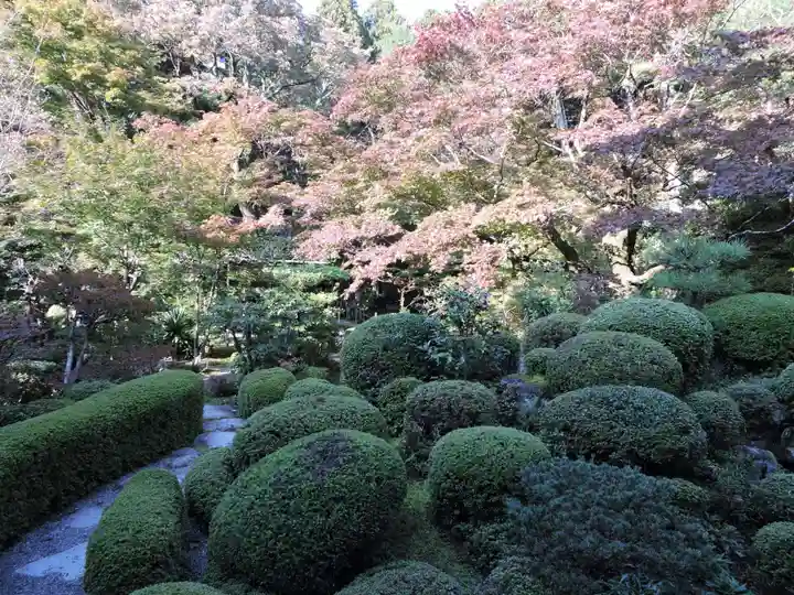 金剛輪寺(滋賀県)