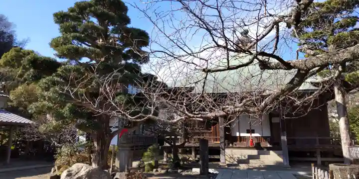 極楽寺(霊鷲山感應院極楽律寺)の本殿・本堂