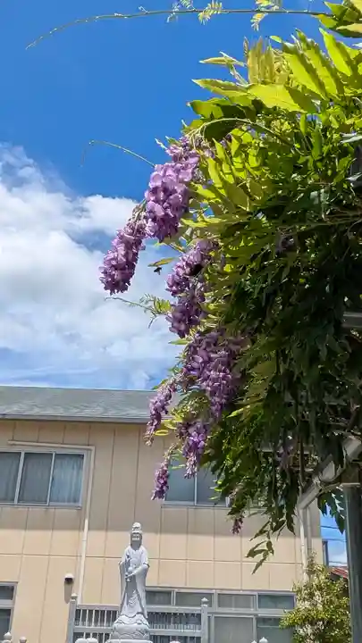 大松禅寺(京都府)