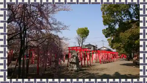 於菊稲荷神社(群馬県)