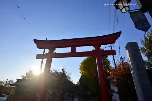 鷲宮神社の鳥居