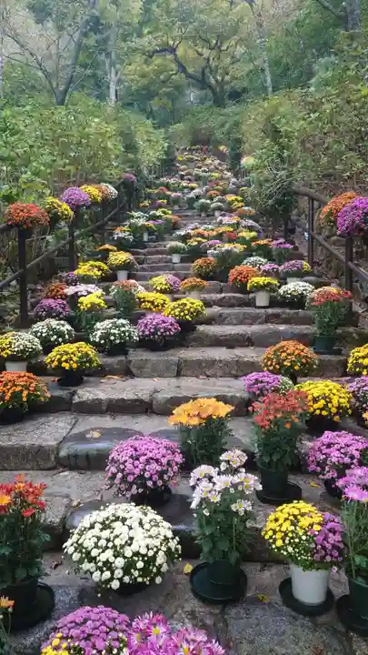 長谷寺(奈良県)