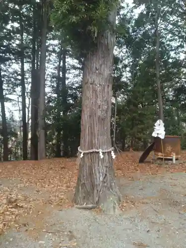 藤田神社(宮城県)