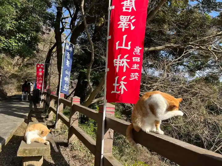 唐澤山神社の動物