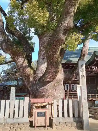 石切劔箭神社(大阪府)